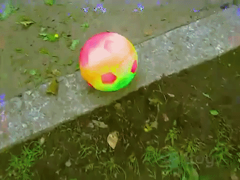 Rainbow Ball ✿ Day